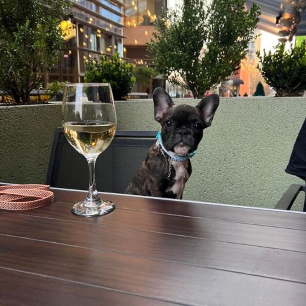 Meet your Posher, Fred